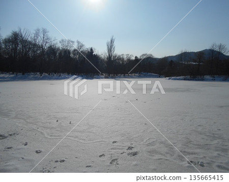 Nakajima Park, Iris Pond, Ice Nakajima Park, Iris Pond, Ice 135665415