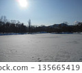 Nakajima Park, Iris Pond, Ice 135665419