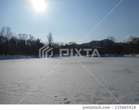 中島公園，鳶尾池，冰 135665419