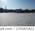 Nakajima Park, Iris Pond, Ice 135665422