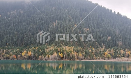 Beautiful Landscape With Lake In The Forest Beautiful Landscape With Lake In The Forest 135665864