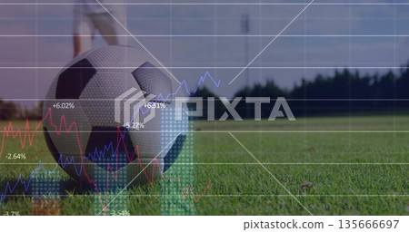 Resting soccer ball on grass pitch at stadium floodlight pole, with line graphs overlay, copy space Resting soccer ball on grass pitch at stadium floodlight pole, with line graphs overlay, copy space 135666697