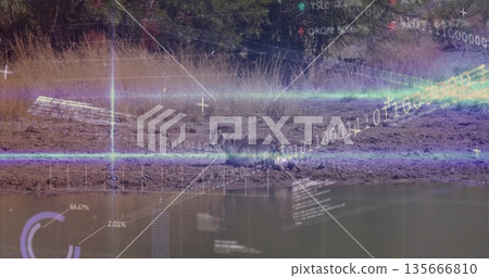 Standing lone warthog displaying digital data overlays on muddy watering hole bank, dry grasses Standing lone warthog displaying digital data overlays on muddy watering hole bank, dry grasses 135666810