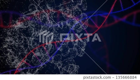 Rotating red and blue DNA helix twisting in virtual lab visualization, with molecular mesh network Rotating red and blue DNA helix twisting in virtual lab visualization, with molecular mesh network 135666884