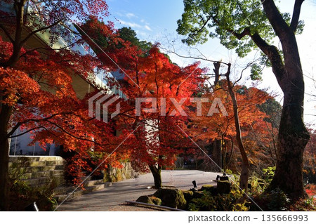 Kamonmon寺廟秋葉 Kamonmon寺廟秋葉 135666993