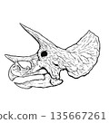 Triceratops skull fossil monochrome 135667261