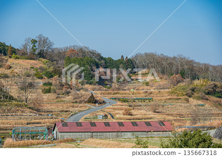 Winter scenery of the rice terraces in Inabuchi, Asuka Village, Nara Prefecture, one of Japan's 100 best rice terraces 135667318