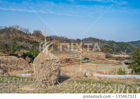 奈良縣飛鳥村稻淵梯田的冬季景色，這裡是日本百大名梯田之一。 135667321