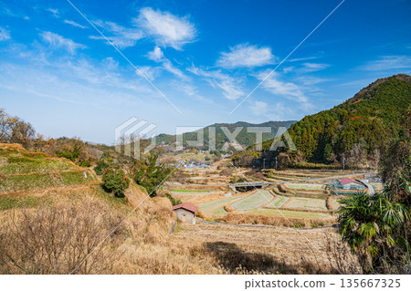 奈良縣飛鳥村稻淵梯田的冬季景色,這裡是日本百大名梯田之一。 奈良縣飛鳥村稻淵梯田的冬季景色,這裡是日本百大名梯田之一。 135667325
