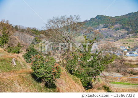 Winter scenery of the rice terraces in Inabuchi, Asuka Village, Nara Prefecture, one of Japan's 100 best rice terraces 135667328