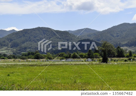 在日本國立天文台野邊山電波天文台，電波日像儀排列成行，背景是連綿的山脈。 135667482