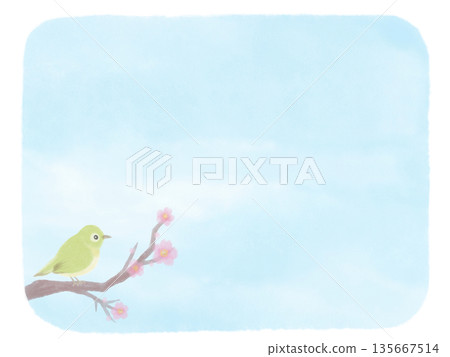 水彩手繪背景,描繪了日本繡眼花和櫻花。 水彩手繪背景,描繪了日本繡眼花和櫻花。 135667514