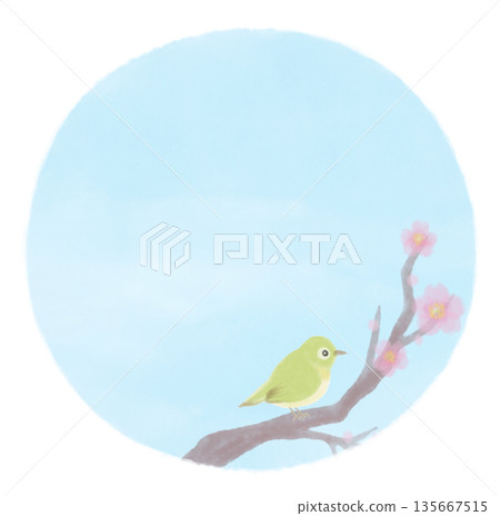 水彩手繪背景,描繪了日本繡眼花和櫻花。 水彩手繪背景,描繪了日本繡眼花和櫻花。 135667515