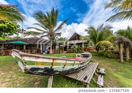 Typical Jungle lodge l Typical Jungle lodge l 135667589