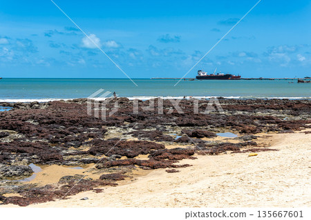 Praia da Volta da Jurema beach, Praia da Volta da Jurema beach, 135667601