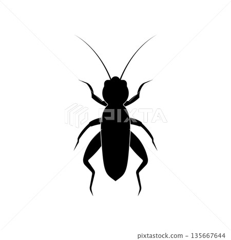 Cricket Insect icon 135667644