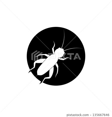 Cricket Insect icon Cricket Insect icon 135667646