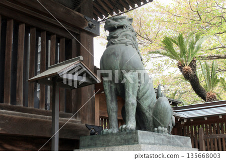 Koda shrine's guardian live dog 135668003