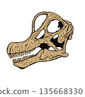 Brachiosaurus skull fossil 135668330
