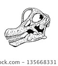 Brachiosaurus skull fossil monochrome 135668331