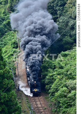 Yamaguchi No. 50 in the mountainous area 135668484
