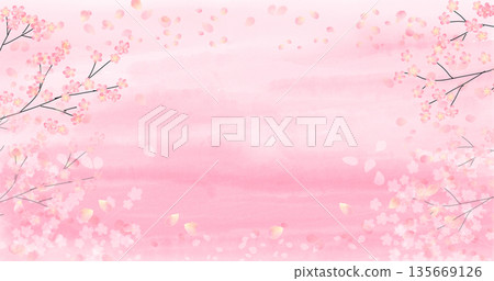 Watercolor illustration of cherry blossoms background 135669126