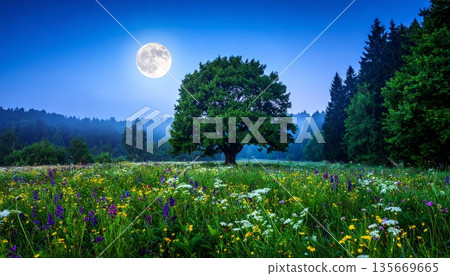 Dark evening sunset over mountain silhouettes with a full moon lighting a night landscape of summer flowers and forest trees under a deep blue cloud sky Dark evening sunset over mountain silhouettes with a full moon lighting a night landscape of summer flowers and forest trees under a deep blue cloud sky 135669665