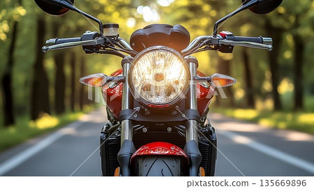 Red Motorcycle Headlight Illuminating Road Through Forest Canopy 135669896