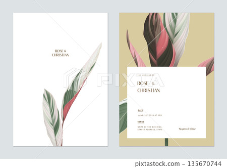 Minimalist foliage wedding invitation card template design, Ctenanthe oppenheimiana Minimalist foliage wedding invitation card template design, Ctenanthe oppenheimiana 135670744