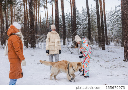Two teenagers playing with golden retriever dog in snowy pine forest, winter outdoor walk with adult woman, family leisure and cold weather nature scene Two teenagers playing with golden retriever dog in snowy pine forest, winter outdoor walk with adult woman, family leisure and cold weather nature scene 135670973