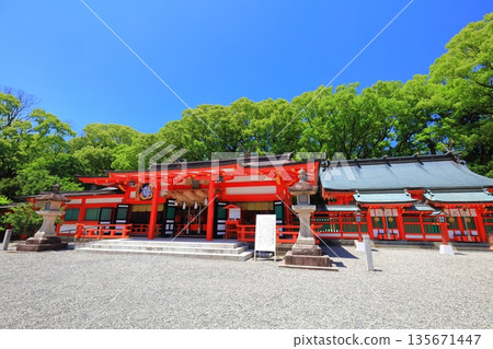 [和歌山縣] 晴天的熊野速玉大社參拜殿 135671447