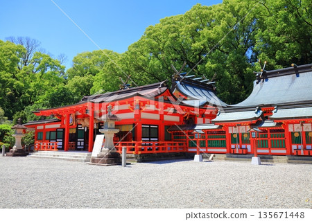 [Wakayama Prefecture] The worship hall of Kumano Hayatama Taisha Shrine on a clear day 135671448
