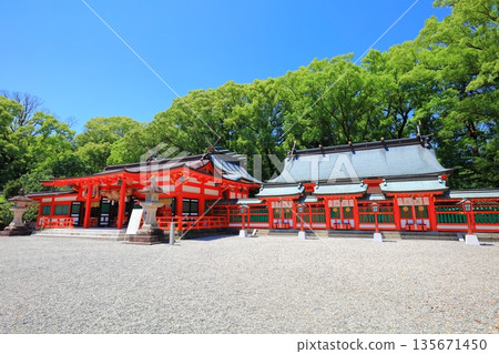 [Wakayama Prefecture] The worship hall of Kumano Hayatama Taisha Shrine on a clear day 135671450