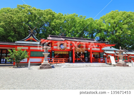 [Wakayama Prefecture] The worship hall of Kumano Hayatama Taisha Shrine on a clear day 135671453
