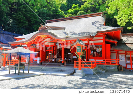 [Wakayama Prefecture] Kumano Nachi Taisha Shrine (reception hall) on a clear day 135671470