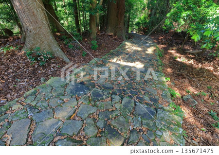 [Wakayama Prefecture] Daimonzaka on the Kumano Kodo trail 135671475