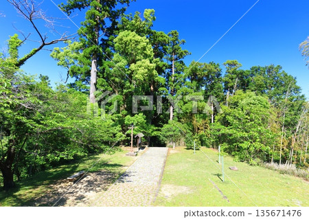 [Wakayama Prefecture] Daimonzaka slope on the Kumano Kodo trail, lush with fresh greenery 135671476