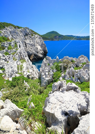 [Wakayama Prefecture] Shirasaki Marine Park on a clear day 135671489
