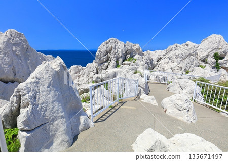 [和歌山縣] 白崎海洋公園晴空萬裡 135671497