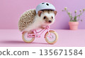 Adorable hedgehog on tiny pink bicycle with helmet in pastel setting 135671584
