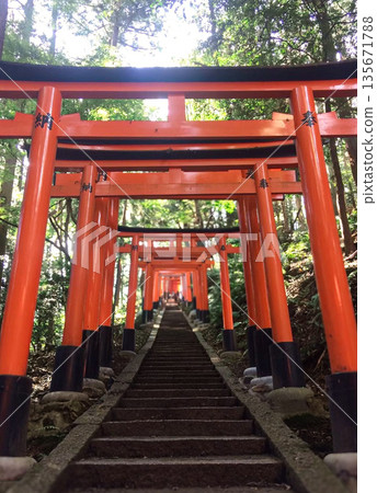 Kyoto Fushimi Inari Taisha Shrine Thousand Torii Stairs Kyoto Fushimi Inari Taisha Shrine Thousand Torii Stairs 135671788