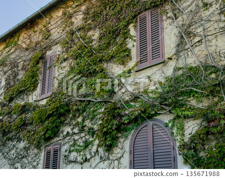Ivy covered wall with wooden shutters and an arched door on a rustic building 135671988