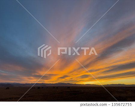 Horses grazing at sunset over open plains with dramatic orange sky amid distant mountains Horses grazing at sunset over open plains with dramatic orange sky amid distant mountains 135672755