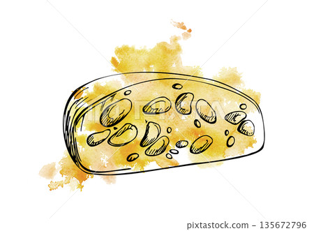 Maasdam cheese rounded slice with visible holes, rustic dairy food illustration, artisanal snack. Hand-drawn in watercolor and ink for menus, recipe layouts, gourmet themes, wine pairing graphics. 135672796
