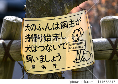 日本橫濱市的城市景觀：「狗主人應該把狗糞帶回家清理乾淨，並用牽引繩拴住狗」以及「狗是一生的摯愛…」= 橫濱市 135672847