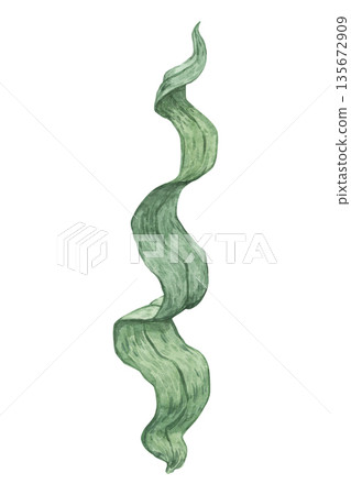 A watercolor illustration of underwater seaweed 135672909
