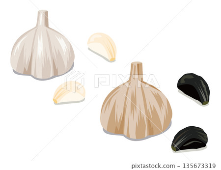 Illustration of garlic and black garlic 135673319