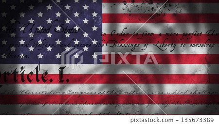 Showing weathered American flag with constitutional script overlay and tree-branch shadows 135673389