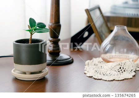 Detail image of interior decor, A small plant in a pot on a wooden table 135674265