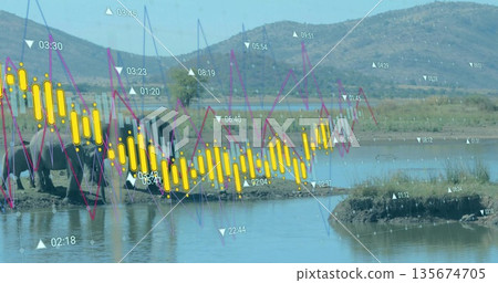 Gathering elephants drinking at muddy wetland watering hole, displaying financial chart overlays 135674705